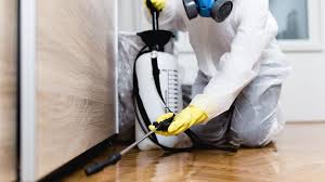 Best Emergency Pest Control  in Moore, OK